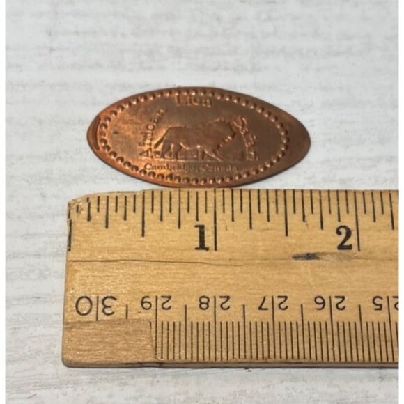 Elongated Penny With African Lion Safari Design & Canada Text - Picture 4 of 4